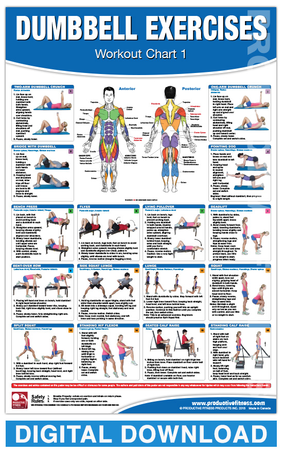 dumbbell-workout-chart-pdf-lockqtimes